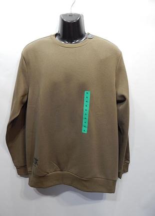 Чоловіча демісезонна тепла кофта (світшот) р.48 (m) р.50 (l)  р.52 (xl) р.54 (2xl) р.56 (3xl) 072zmt
