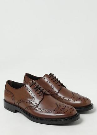 Броги tod's 2