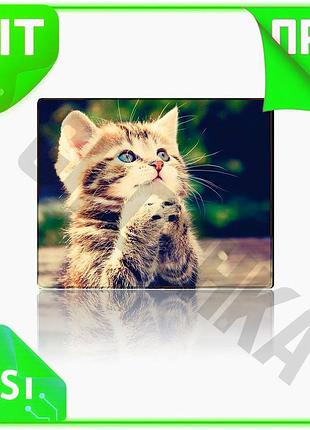 Ve коврик тканевый cat3 250*300 new version с боковой прошивкой 2 мм для дома и офиса ковер для пола n6w_ver