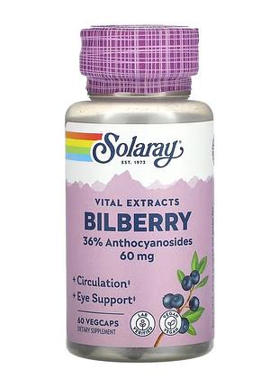 Bilberry berry extract 60mg - 60 vcaps