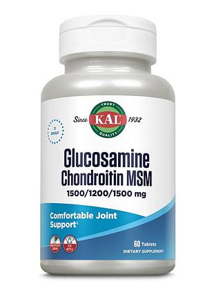 Glucosamine chondroitin msm - 60 tabs