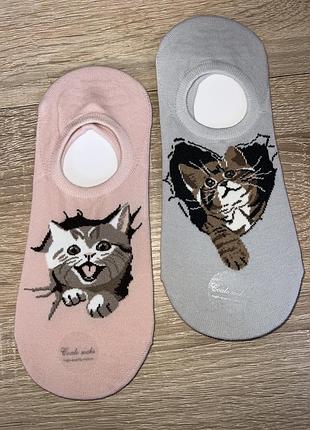 Слідки з котиками
