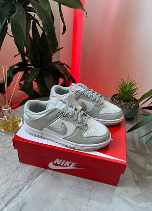 Кросівки nike sb dunk low • white/grey