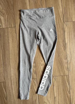Лосини adidas