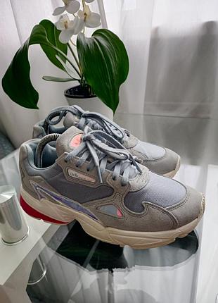 Adidas falcon