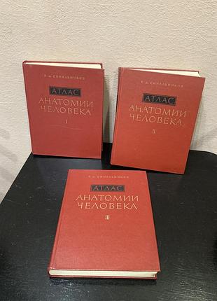 Атлас анатомии человека синельникова, анатомия человека, атлас анатомії людини синельнікова