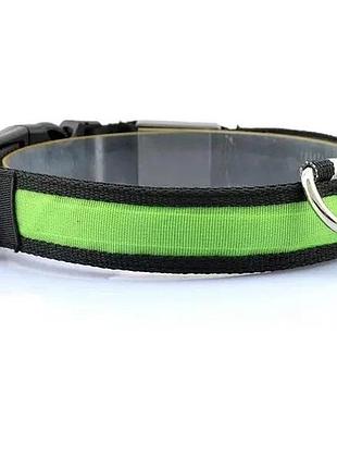 Світлодіодний нашийник з led-підсвіткою usb зелений