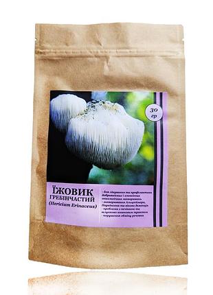 Ежовик гребенчатый. гриб lion's mane. фунгодоктор. порошок 30 г