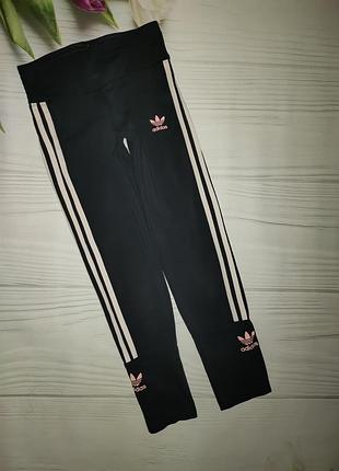 Лосини adidas оригінал