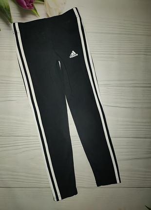 Лосини котонові adidas оригінал