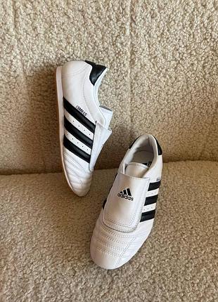 Кросівки adidas taekwondo