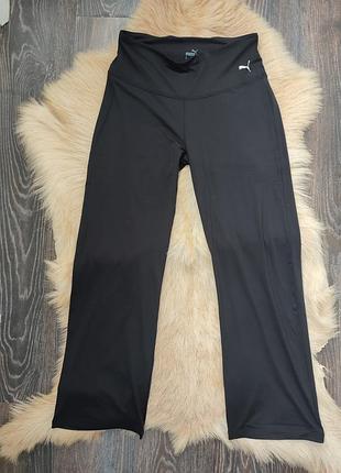 Спортивные штаны puma p.m