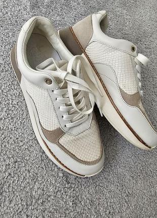 Кросівки massimo dutti розмір 39