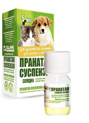 Пранатан суспензия сладкая для щенков и котят, 5 мл, o.l.kar. (олкар)