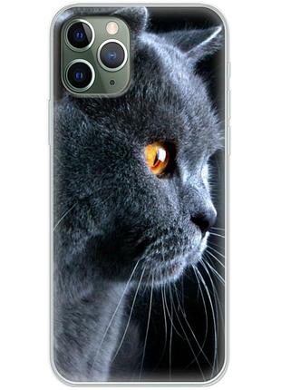 Чехол силиконовый с картинкой на iphone 11 pro (британский кот)