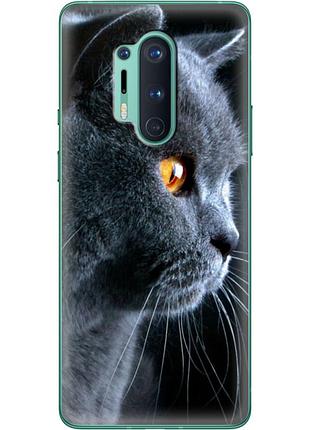 Чехол силиконовый с картинкой на oneplus 8 pro (британский кот)