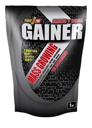 Гейнер power pro mass growing gainer, 1 кг шоколад (626401)