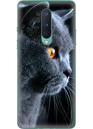 Чехол силиконовый с картинкой на oneplus 8 (британский кот)
