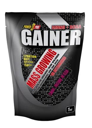 Гейнер power pro mass growing gainer, 1 кг лесная ягода (626401)