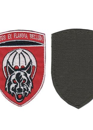 Шеврон военный / армейский, 90 оаемдб (отдельный аеромобильний десантный, всу. 10 см * 7 см