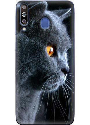 Чехол силиконовый с картинкой на samsung galaxy m30 (m305) (британский кот)