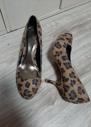 Туфли шикарные леопардовые