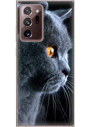 Чохол силіконовий з картинкою на samsung galaxy note 20 ultra (n985) (британський кіт)