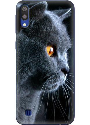 Чехол силиконовый с картинкой на samsung galaxy m10 (m105) (британский кот)