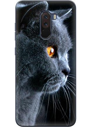 Чехол силиконовый с картинкой на xiaomi pocophone f1 (британский кот)