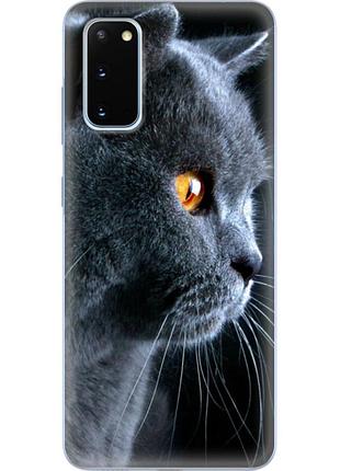Чехол силиконовый с картинкой на samsung galaxy s20 (g980) (британский кот)