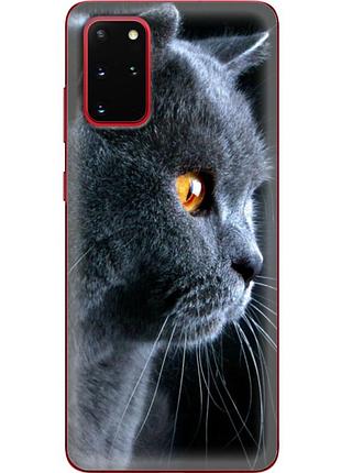 Чехол силиконовый с картинкой на samsung galaxy s20 plus (g985) (британский кот)
