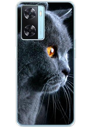 Чехол силиконовый с картинкой на oppo a77 (британский кот)