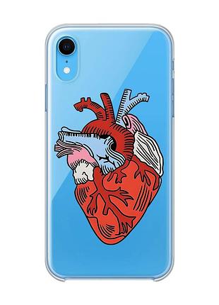Прозрачный чехол на iphone xr :: сердце анатомическое (принт 250)