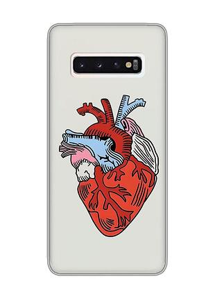 Прозрачный чехол на samsung galaxy s10 :: сердце анатомическое (принт 250)