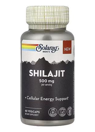 Shilajit 500mg - 60 vcaps