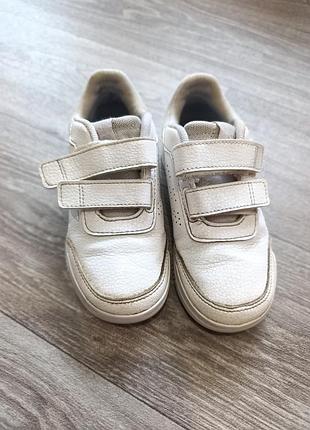 Adidas кроссовки