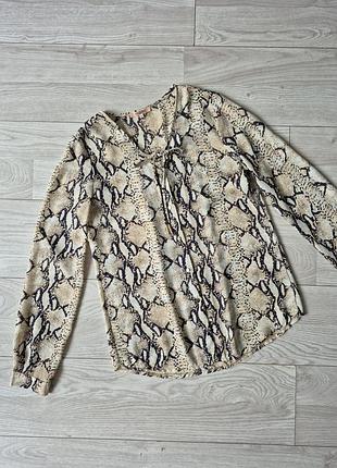 Блуза solange в змеиный принт