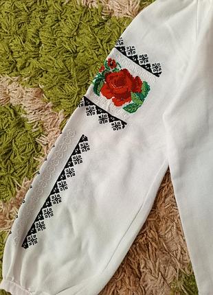 Вишиванка 146р 2