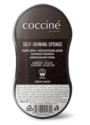 Coccine губка для блеска бесцветная self-shining sponge midi