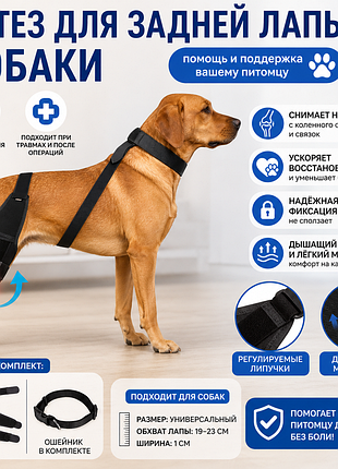 Ортез для задней лапы собаки 🐕 поддержка сустава | после травм и операций