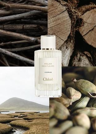 Chloe atelier des fleurs cedrus розпив оригінал парфумів