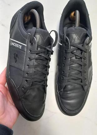 Чоловічі кросівки lacoste