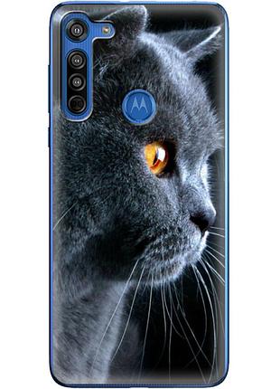 Чехол силиконовый с картинкой на motorola g8 (британский кот)