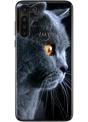 Чехол силиконовый с картинкой на motorola g8 power (британский кот)
