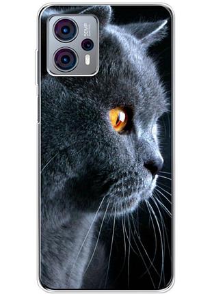 Чехол силиконовый с картинкой на motorola g23 (британский кот)