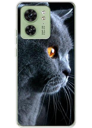 Чехол силиконовый с картинкой на motorola edge 40 (британский кот)