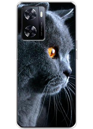 Чехол силиконовый с картинкой на oneplus nord n20 se (британский кот)