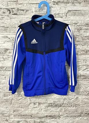 Зіпка adidas 5-6 років