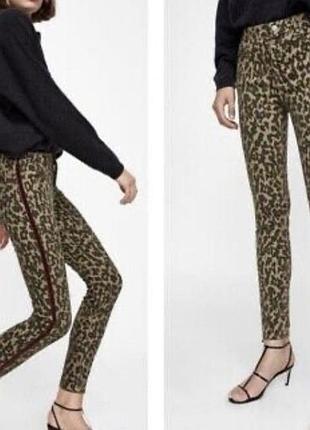 Распродажа!! эластичные джинсы в леопард с лампасами zara premium р. eu 40