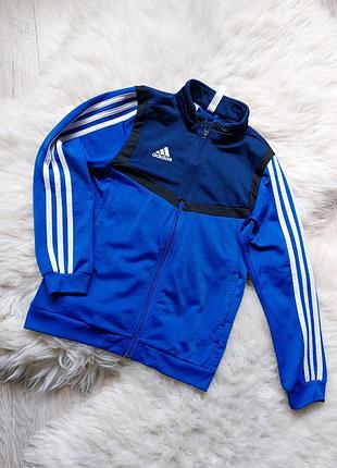 🩵🥇🩵 суперская синяя олимпийка спортивная кофта adidas